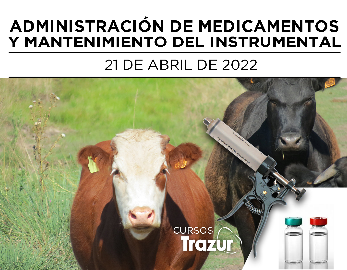 APLICACIÓN DE MEDICAMENTOS – INSTRUMENTAL VETERINARIO – abril 2022