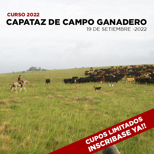 Curso de CAPATAZ DE CAMPO GANADERO